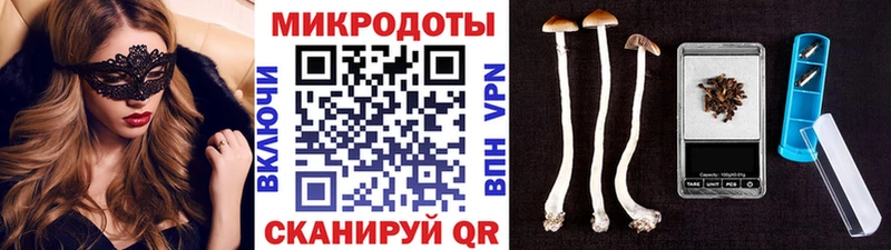 Псилоцибиновые грибы Psilocybine cubensis  что такое наркотик  Шарья 